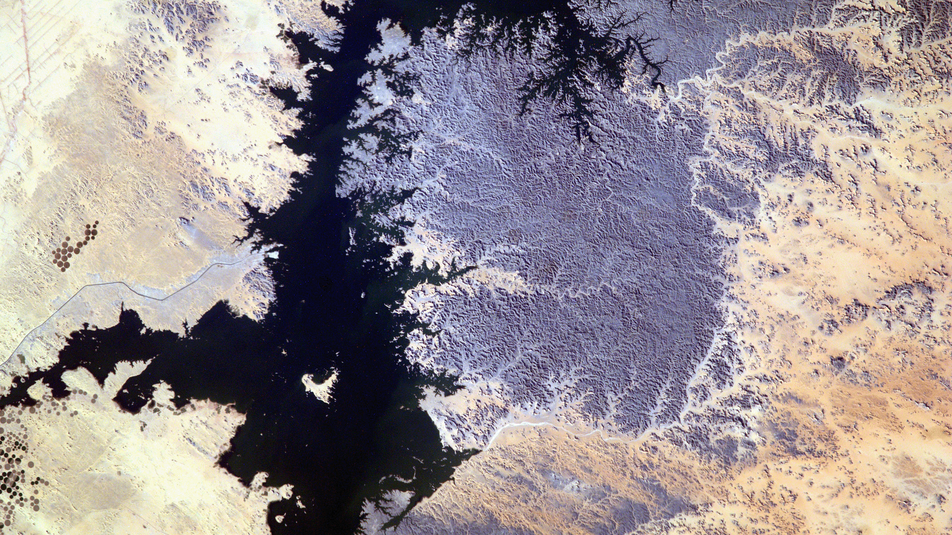 A satellite image of the  Nile River  provided by the Sally Ride EarthKam