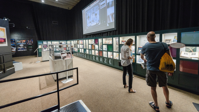 Guests examine a long display case full of windows revealing a variety of exhibits