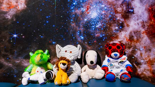 stuffed animals