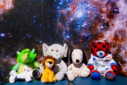 stuffed animals
